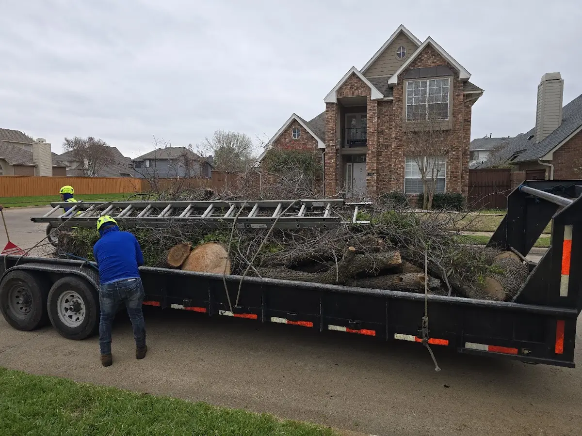 Expert Lot Clearing with proper safety equipment in Fairgrove